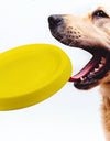 Pet Dogs Throwing Plastic Toys