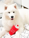 Pet plush toys